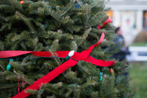 Yarmouthport Christmas Stroll 2022 Yarmouth Port Christmas Stroll – Yarmouth Chamber Of Commerce