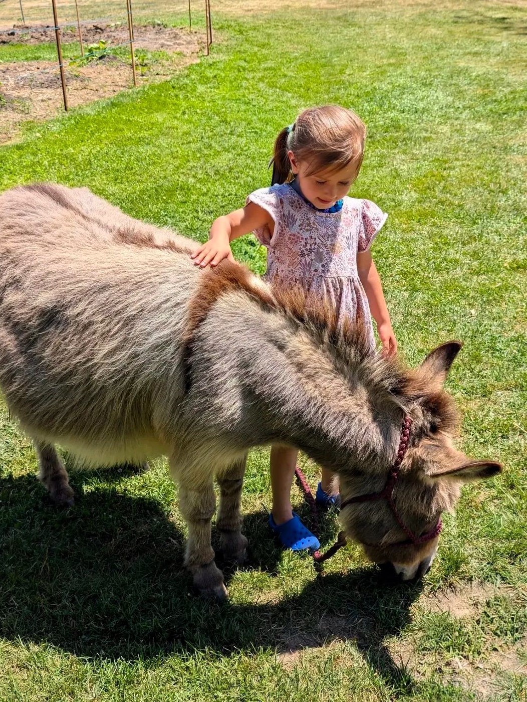 Taylor Bray Farm, Yarmouth Port MA